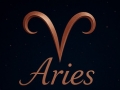 Aries（アリエス）の風俗求人